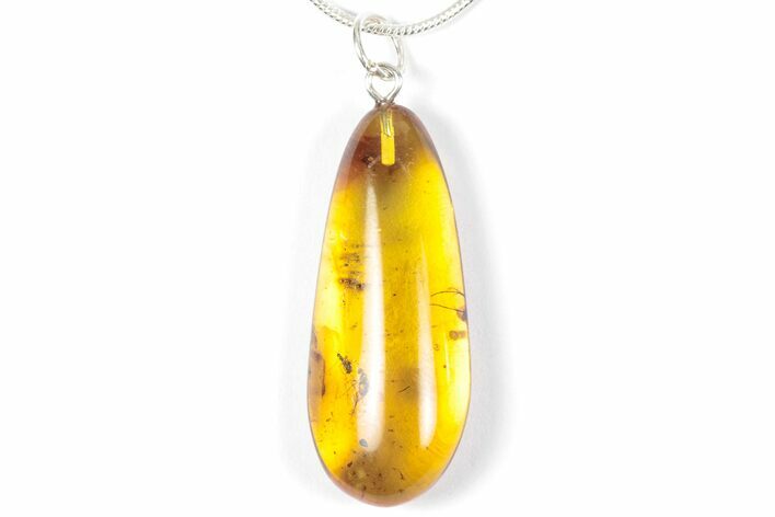 Polished Baltic Amber Pendant (Necklace) - Contains Fly! #357974